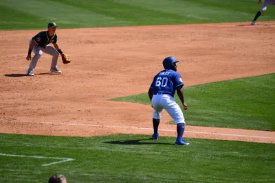 DSC_1600 (Large).JPG